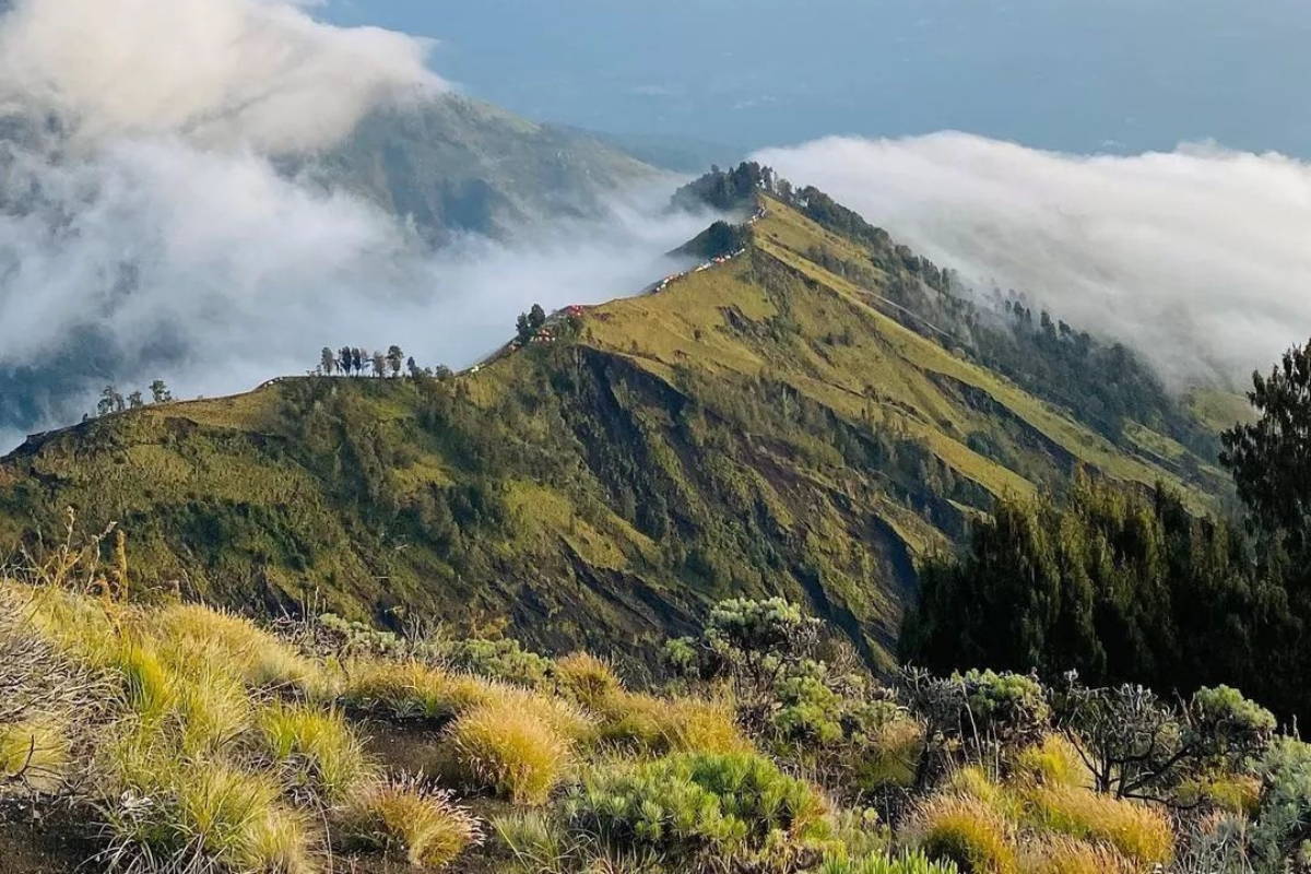 fakta gunung rinjani