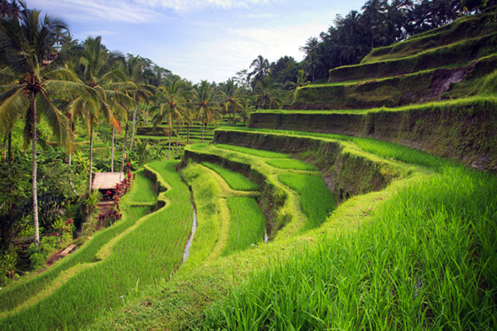 destinasi di bali